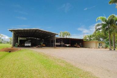 House For Sale - QLD - Mount Surround - 4809 - HOME IN THE COUNTRY -- 11 ACRES-- LARGE SHEDS  (Image 2)