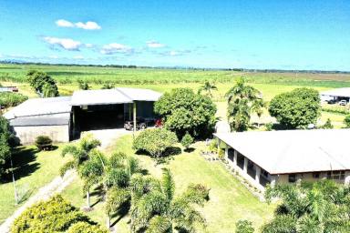 House Sold - QLD - Brandon - 4808 - Rendered Block Home with Huge Shed on 2 Acres +  (Image 2)