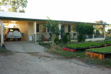 House Sold - QLD - Alligator Creek - 4816 - Home in the Country - 5 acres - Large Shed - Irrigation - Cropping  (Image 2)
