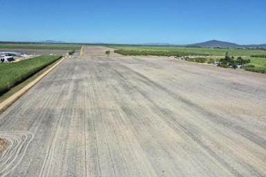 Other (Rural) For Sale - QLD - Horseshoe Lagoon - 4809 - 126 Acre Cropping Property - Horseshoe Lagoon - Open Water & Bore Water  (Image 2)