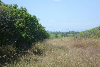 Other (Rural) Sold - QLD - Mount Kelly - 4807 - 10.72 Acres - Mount Kelly Elevated Allotment with Subdivison Potential  (Image 2)