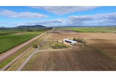 Other (Rural) For Sale - QLD - Fredericksfield - 4806 - 125 Acre Cane / Hay Farm - Burdekin Region  (Image 2)