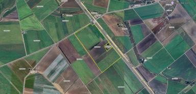 Other (Rural) For Sale - QLD - Fredericksfield - 4806 - 125 Acre Cane / Hay Farm - Burdekin Region  (Image 2)