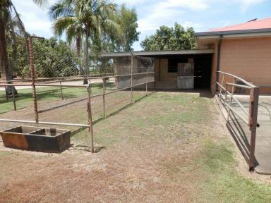 Other (Rural) For Sale - QLD - Rita Island - 4807 - Double Brick House - Sheds - Bores - 11.86 Acres - Rita Island  (Image 2)