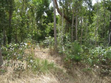 Residential Block Sold - QLD - Cardwell - 4849 - Vacant rural block with power & water...  (Image 2)