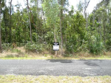 Residential Block Sold - QLD - Cardwell - 4849 - Vacant rural block with power & water...  (Image 2)