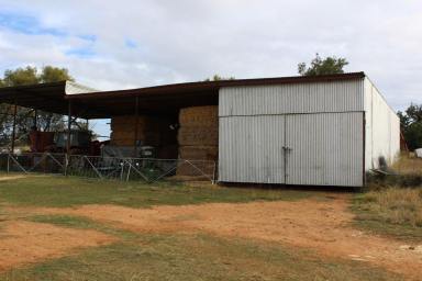 Mixed Farming For Sale - NSW - Gravesend - 2401 - "Geebung", Gravesend  (Image 2)