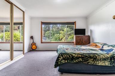 House Leased - NSW - Kyogle - 2474 - Spacious Brick & Tile Family Home  (Image 2)
