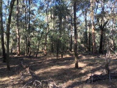 Lifestyle For Sale - NSW - Kurrajong - 2758 - RARE FIND WITH GREAT POTENTIAL - 58 ACRES  (Image 2)