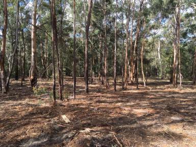 Residential Block For Sale - NSW - Kurrajong - 2758 - RARE FIND WITH GREAT POTENTIAL - 58 ACRES  (Image 2)