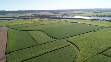 Residential Block For Sale - NSW - Empire Vale - 2478 - Rare Vacant Rural Acres with DA  - 50 Acres of Coastal Farmland  (Image 2)
