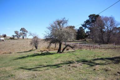 Acreage/Semi-rural For Sale - NSW - Burraga - 2795 - FOUR ACRES AT BURRAGA  (Image 2)