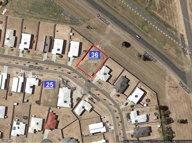 Residential Block For Sale - QLD - Dalby - 4405 - QUALITY RESIDENTIAL BLOCKS - BARGAIN PRICE  (Image 2)