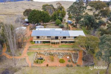 Acreage/Semi-rural For Sale - NSW - Urila - 2620 - Beautiful Rural Property  (Image 2)