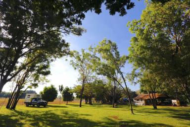 Business Sold - NT - Darwin - 0800 - NT Top End Accommodation & Tourism Resort  (Image 2)