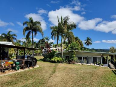 Hotel/Leisure For Sale - QLD - Daintree - 4873 - Daintree Riverview Lodges & Van Park - Selling Freehold  (Image 2)