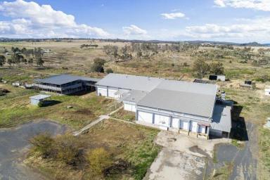 Commercial Farming Sold - QLD - Pittsworth - 4356 - Cool-Rooms, 40ML Water Licence, 58 Acres, Sealed Access, Transport Links, Town Water  (Image 2)