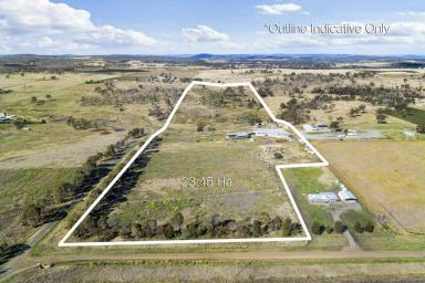 Horticulture Sold - QLD - Pittsworth - 4356 - WATER, LAND, Location, Sheds: 58 Acres with 40 MegaLitres (ML), Pittsworth QLD  (Image 2)