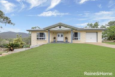 House For Sale - QLD - Parkhurst - 4702 - Modern masterpiece meets rural lifestyle.  (Image 2)