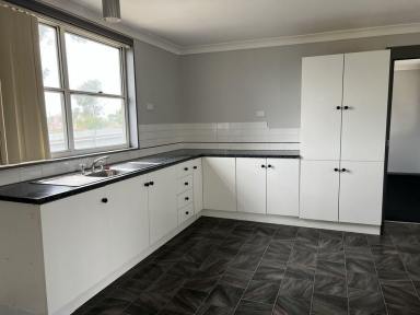 Unit For Lease - NSW - Lightning Ridge - 2834 - LIGHTNING RIDGE  (Image 2)