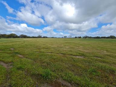 Cropping For Sale - WA - Wickepin - 6370 - 200 Acres with Accommodation $595,000+  (Image 2)