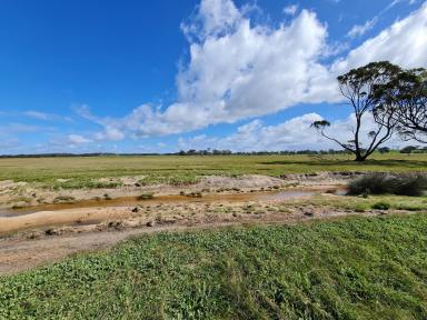 Cropping For Sale - WA - Wickepin - 6370 - 200 Acres with Accommodation $595,000+  (Image 2)