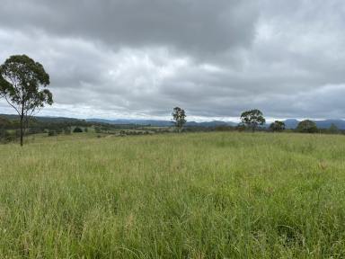 Livestock For Sale - QLD - Mount Perry - 4671 - GREAT STARTER BLOCK (Fully Improved)  (Image 2)
