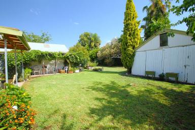 House Leased - NSW - Quirindi - 2343 - Neat and Tidy 3 Bedroom House  (Image 2)