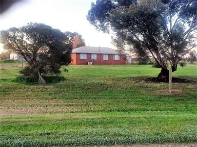 Cropping For Sale - VIC - Rochester - 3561 - 429 Odonnell Rd  (Image 2)