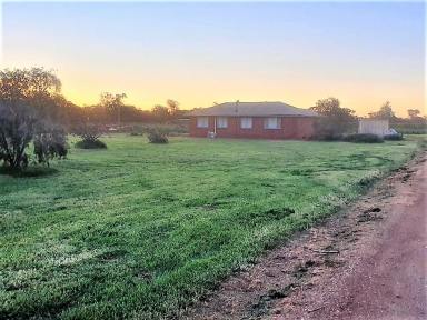 Cropping For Sale - VIC - Rochester - 3561 - 429 Odonnell Rd  (Image 2)