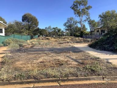 Residential Block For Sale - QLD - Longreach - 4730 - An ideal block to build your dream home  (Image 2)