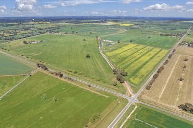 Cropping For Sale - VIC - Rochester - 3561 - 73 Stone Rd 294 Lowe Rd  (Image 2)