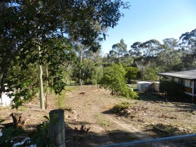 Residential Block For Sale - QLD - Glen Eden - 4680 - Give me a home among the Gum Trees  (Image 2)