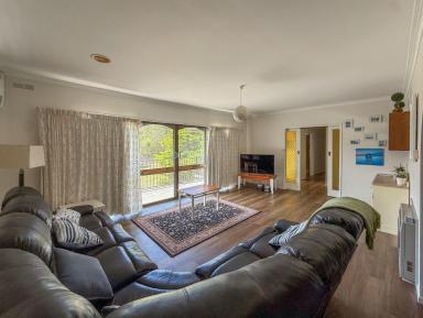 House Leased - VIC - Portland - 3305 - Large, Fully Furnished Home  (Image 2)