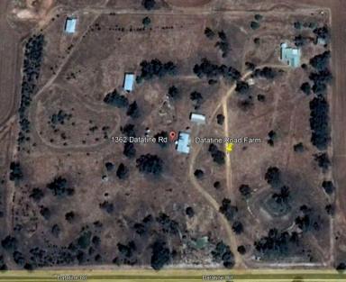 Other (Rural) Sold - WA - Nyabing - 6341 - 10 Hectare Hobby Farm  (Image 2)
