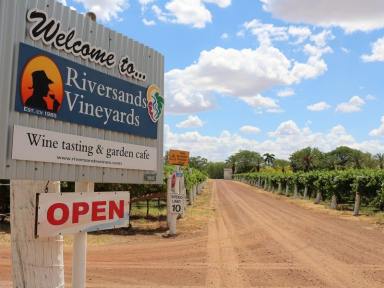 Viticulture For Sale - QLD - St George - 4487 - Riversands Vineyards  (Image 2)