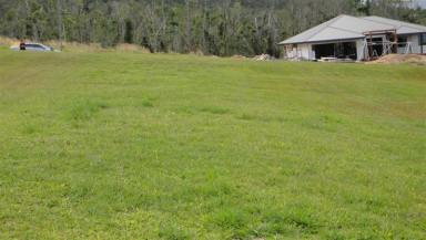 Residential Block For Sale - QLD - Tully - 4854 - BEAUTIFUL VIEWS & THE RIGHT PRICE - ONLY $70k!  (Image 2)