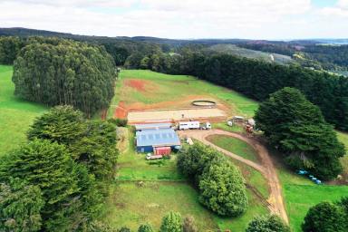 Farmlet For Sale - TAS - Irishtown - 7330 - 62.53Ha Set up for the Horse Enthusiast or Lifestyle/Grazing with Natural Bush Picnic area and Running Creek.  (Image 2)
