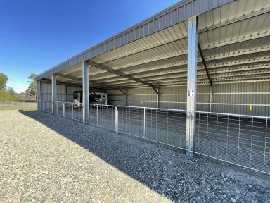 Industrial/Warehouse For Lease - NSW - South Grafton - 2460 - McMULLAN CARAVAN STORAGE  (Image 2)