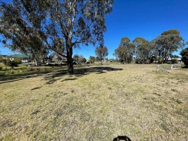 Residential Block Sold - QLD - Stanthorpe - 4380 - Residential home site with park frontage  (Image 2)