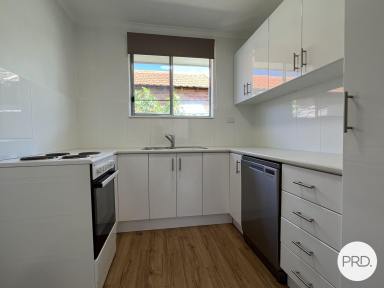 Unit Leased - NSW - North Albury - 2640 - BEAUTIFULLY RENOVATED IN QUIET STREET  (Image 2)