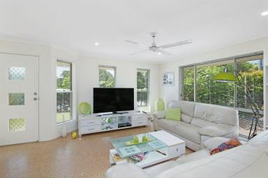 House Leased - QLD - Cooroy - 4563 - Under Application  (Image 2)