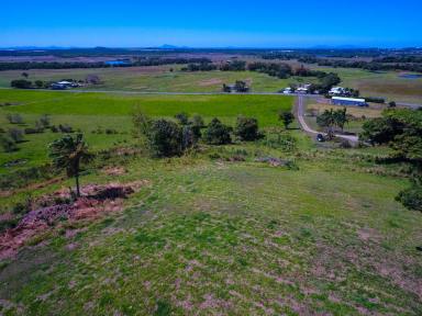 Residential Block For Sale - QLD - Nindaroo - 4740 - LOOKING TO BUILD YOUR DREAM HOME WITH THAT MILLION DOLLAR VIEW??  (Image 2)