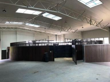 Business For Sale - NSW - Tamworth - 2340 - ENGINEERING AND WELDING MANUFACTURING BUSINESS SERVICING THE EQUINE INDUSTRY  (Image 2)