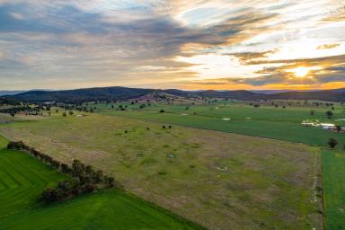 Mixed Farming For Sale - NSW - Canowindra - 2804 - A MIX OF PRODUCTIVE FARMING & LIFESTYLE  (Image 2)