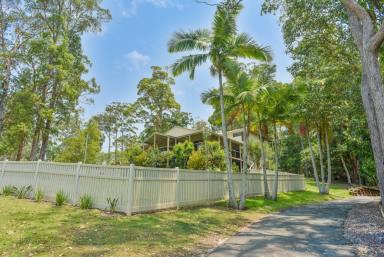 House For Lease - QLD - Doonan - 4562 - Character Home With an Ocean View  (Image 2)