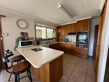 House Leased - TAS - Longford - 7301 - ROOM TO MOVE  (Image 2)