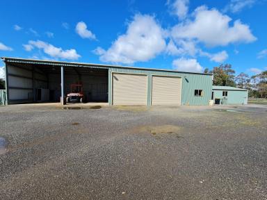 House Leased - TAS - Longford - 7301 - ROOM TO MOVE  (Image 2)