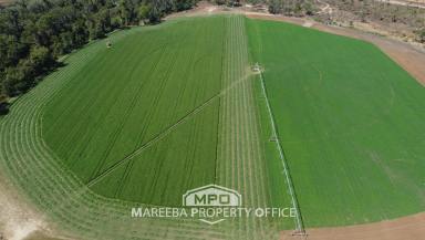 Cropping Sold - QLD - Dimbulah - 4872 - WALSH RIVER LIFESTYLE ACREAGE  (Image 2)
