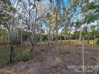 Residential Block For Sale - QLD - Mareeba - 4880 - Secluded Spot  (Image 2)